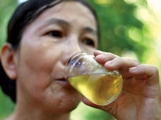 Dầu dừa không là thần dược ảnh 1