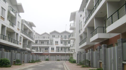 Tết thảm ở đô thị mới ảnh 2