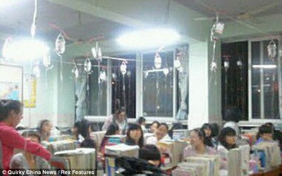 Bi hài học sinh Trung Quốc truyền dịch để ôn thi ảnh 1