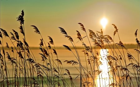 Những hình ảnh nắng tuyệt đẹp chất lượng nhất THCS Võ Thị Sáu