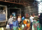 Cá chép đỏ đắt gấp 10 lần năm ngoái nhưng vẫn ‘cháy hàng’