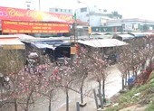 Video: Không khí Tết tràn ngập khắp phố phường Hà Nội
