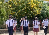 Đề thi học sinh giỏi Văn 'gọi tên cách sống' và tuổi trẻ