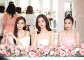 Dàn hậu kêu gọi bạn nữ dự thi Hoa hậu Việt Nam 2020