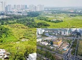 TP.HCM: 2 cựu lãnh đạo Công ty Tân Thuận bị bắt