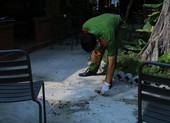 Lời kể nhân chứng vụ bắn nhiều phát súng tại Bình Dương
