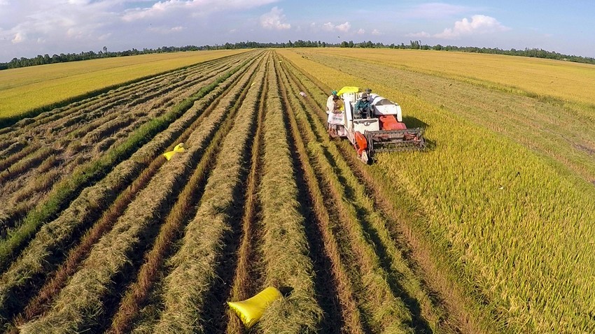 Đề xuất mở rộng đối tượng nhận chuyển nhượng quyền sử dụng đất trồng lúa ảnh 1