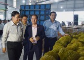 'Vua' bán trái cây sang Mỹ giải cứu thanh long