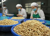 Nguy cơ bị lừa cả trăm triệu USD, hàng loạt công ty Việt kêu cứu