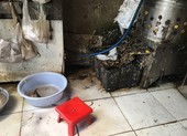 Giết mổ gia cầm không đảm bảo, có cấm được không?