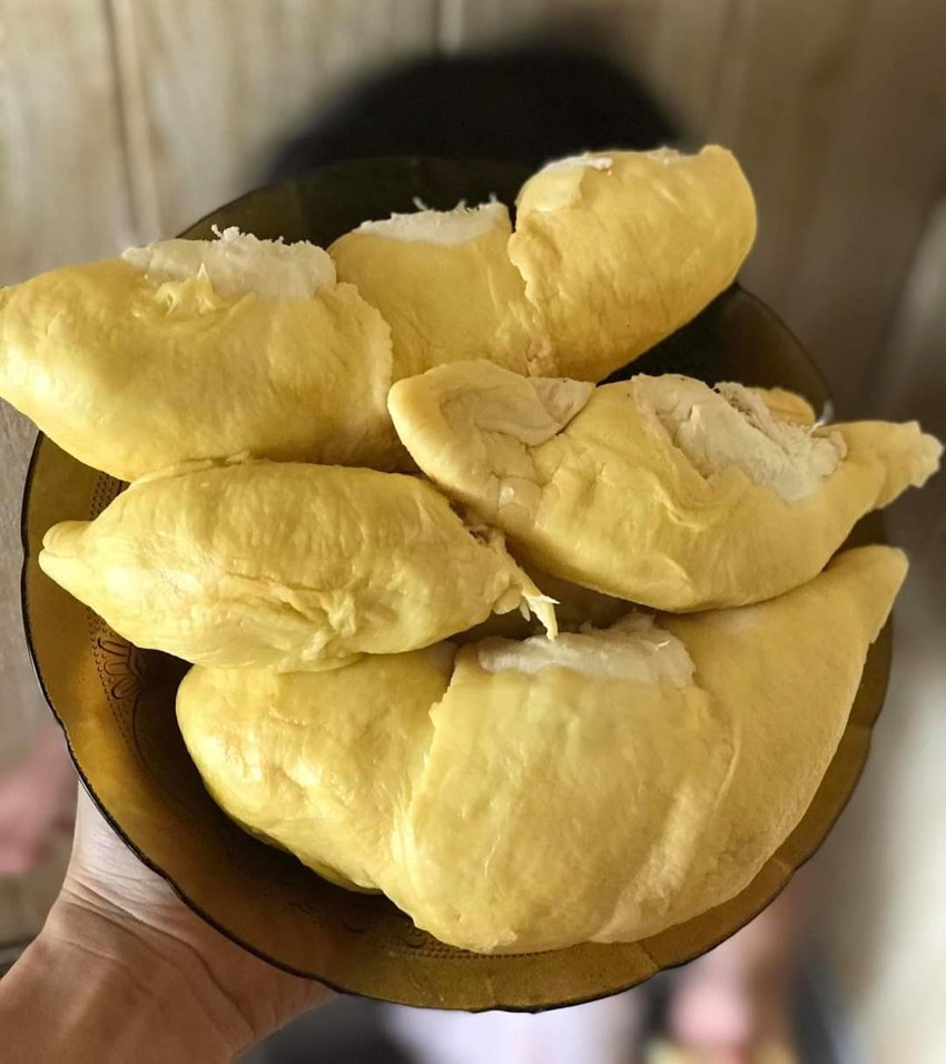 Nhận biết sầu riêng rụng và sầu riêng bị 'ép' chín ảnh 2