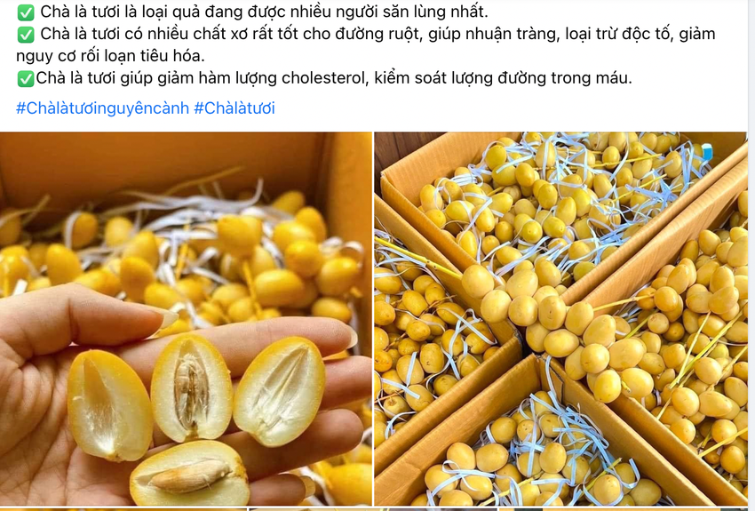 Gần 300 ngàn đồng/kg chà là tươi có tác dụng gì? ảnh 1