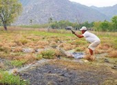 Hỗ trợ 'thiên tai' cho dân gần bãi xỉ Vĩnh Tân
