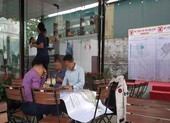 Thanh tra việc thổi giá, chuyển nhượng đất rừng Vân Đồn