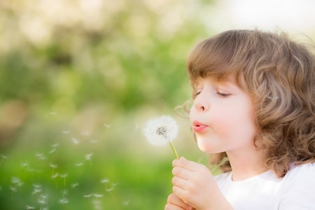 Bộ sưu tập hình nền các nhân vật hoạt hình nổi tiếng