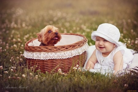 Bộ sưu tập hình nền các nhân vật hoạt hình nổi tiếng