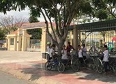 Bộ GD yêu cầu làm rõ vụ cô giáo quỳ xin lỗi phụ huynh