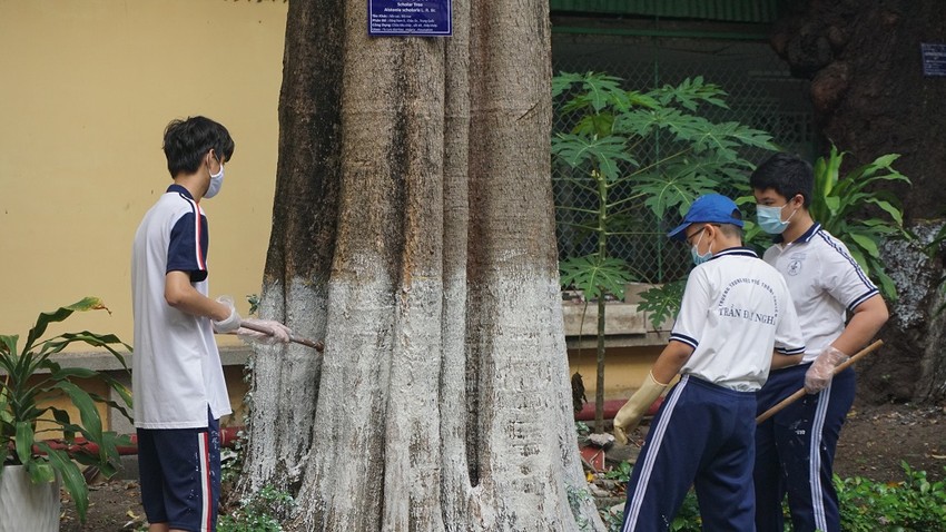 Ấn tượng: Học sinh trang trí ghế đá bằng công thức toán học ảnh 8