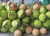 Tên trộm tự làm khó mình