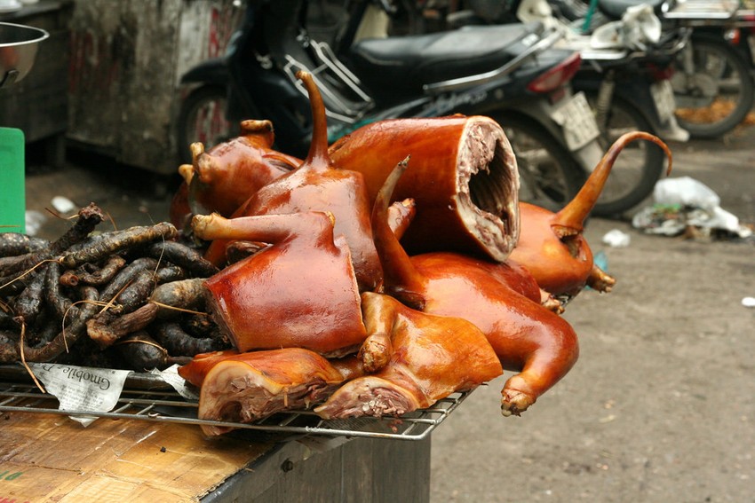 Hạn chế ăn thịt chó là một hành động đáng khen của người dân Việt Nam trong những năm gần đây. Họ đã nhận thức được về những vấn đề liên quan đến bảo vệ động vật và sức khỏe con người. Hãy xem bức ảnh này để cùng nhau tôn vinh những hành động đẹp đó.