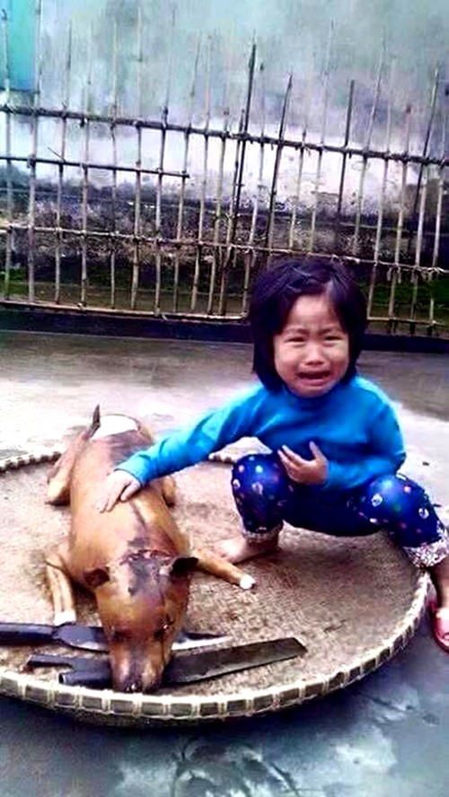 Bức ảnh cô bé và chú chó bị giết thịt: Một bức ảnh đầy cảm động về một cô bé và chú chó bị giết thịt sẽ khiến bạn suy nghĩ và cảm động về sự tàn nhẫn của con người đối với động vật. Hãy xem lại bức ảnh này, hy vọng nó sẽ gợi lên được những ý tưởng và quan điểm mới về cuộc sống.