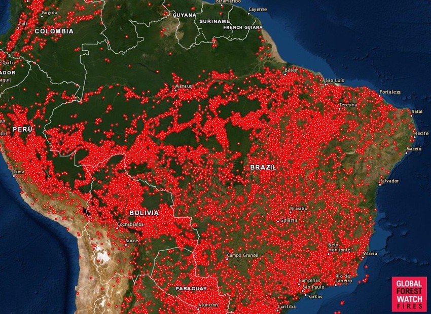Cháy rừng Amazon: Mặc dù cháy rừng Amazon đã gây ra những thiệt hại đáng kể, nhưng việc đó đã giúp cải thiện tình trạng môi trường và sự tái tạo rừng. Hãy cùng nhau truy cập vào hình ảnh để có cái nhìn sâu sắc và chi tiết hơn về tình trạng cháy rừng này.