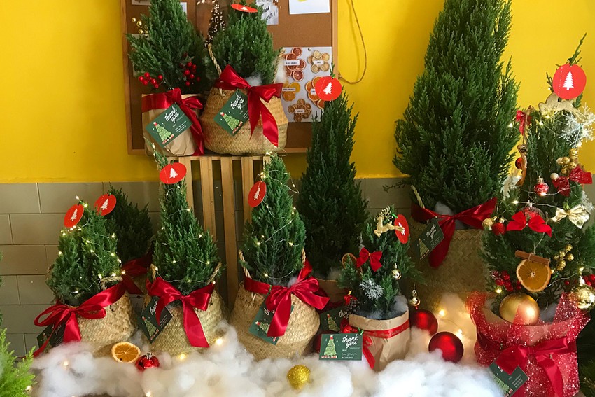 Sắp tới Giáng sinh, cây thông Noel mini đắt hàng trên chợ mạng